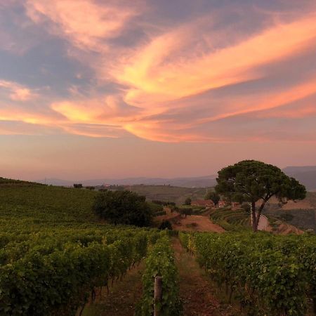 Vila Quinta Dos Espinheiros Provesende Exteriér fotografie