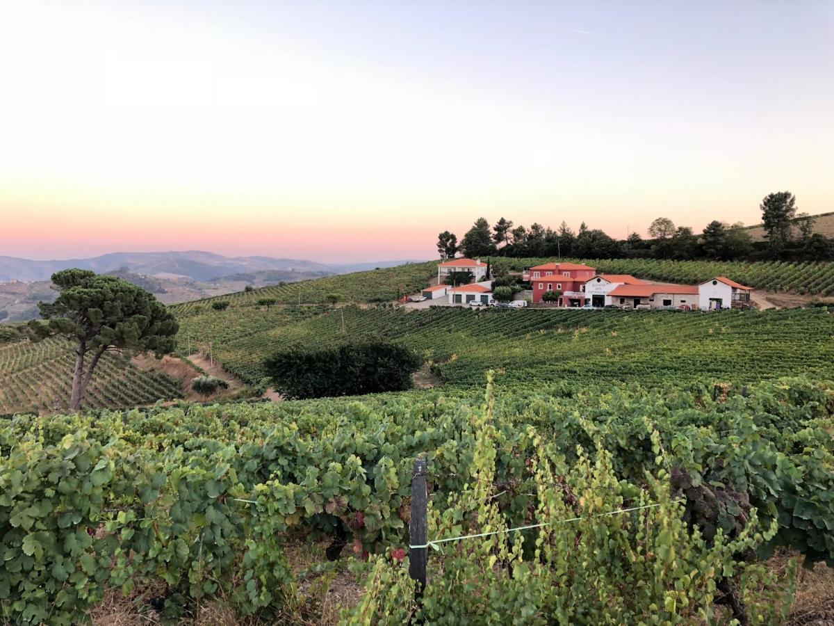Vila Quinta Dos Espinheiros Provesende Exteriér fotografie