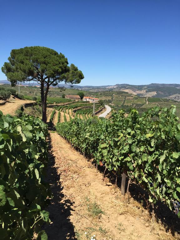 Vila Quinta Dos Espinheiros Provesende Pokoj fotografie
