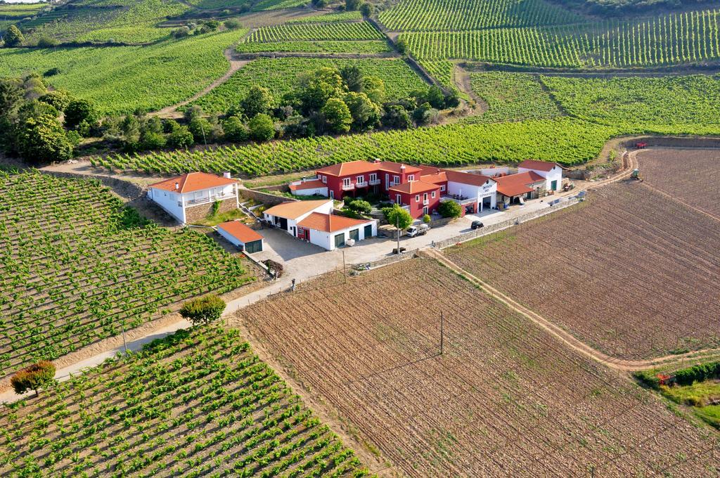 Vila Quinta Dos Espinheiros Provesende Exteriér fotografie