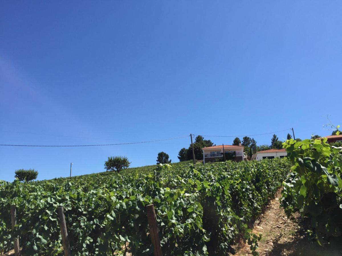 Vila Quinta Dos Espinheiros Provesende Pokoj fotografie